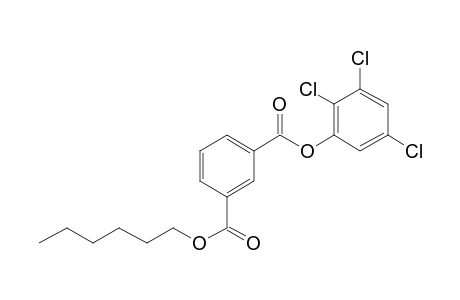 Isophthalic acid, hexyl 2,3,5-trichlorophenyl ester