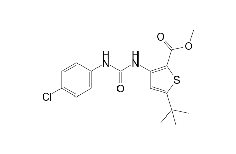 5-Tert-butyl-3-[3-(p-chlorophenyl)ureido]-2-thiophenecarboxylic acid, methyl ester