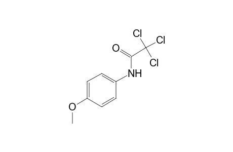 2,2,2-trichloro-p-acetanisidide