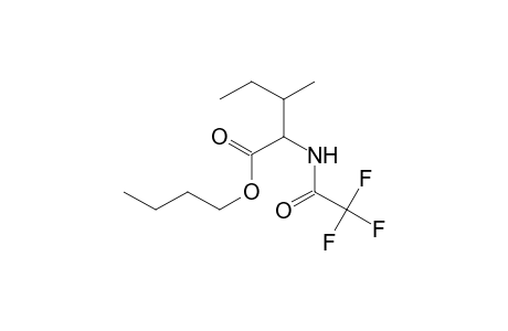 L-Isoleucine, N-(trifluoroacetyl)-, butyl ester