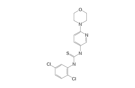 1-(2,5-dichlorophenyl)-3-(6-morpholino-3-pyridyl)-2-thiourea