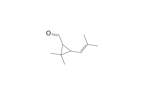 trans-Chrysanthemal