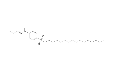 propionaldehyde, [p-(hexadecylsulfonyl)phenyl]hydrazone