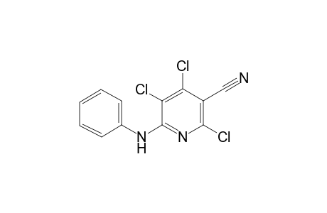 5-CYANO-2-PHENYLAMINOTRICHLOROPYRIDINE