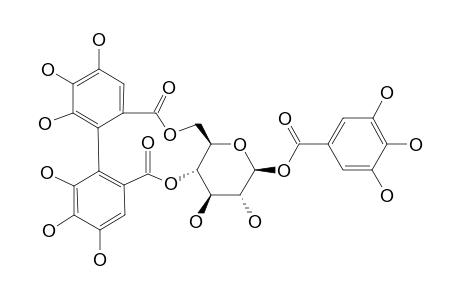 STRICTININ;1-O-GALLOYL-4,6-O-(S)-HEXAHYDROXYDIPHENOYL-BETA-D-GLUCOPYRANOSIDE