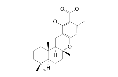 HONGOQUERCINA