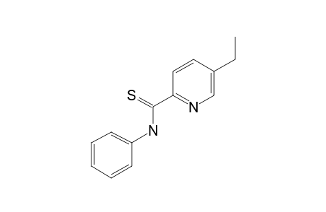 5-Ethyl-N-phenyl-2-pyridinecarbothioamide