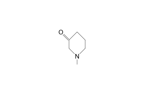 N-Methyl-3-oxo-pyperidine