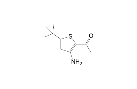 3-amino-5-tert-butyl-2-thienyl methyl ketone