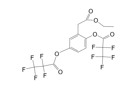 2,5-Dihydroxyphenylacetic acid, ethyl ester, di-pfp