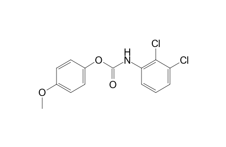 (2,3-Dichlorophenyl)carbamic acid 4-methoxyphenyl ester