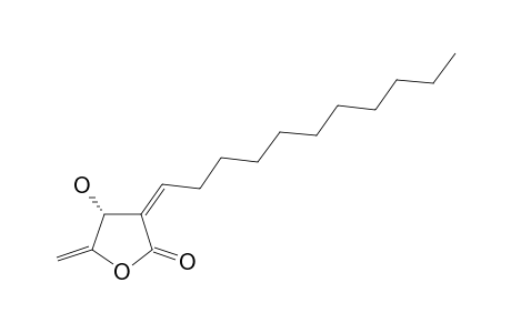 SUBAMOLIDE-D;(4R,3Z)-4-HYDROXY-5-METHYLENE-3-UNDECYLIDENE-DIHYDROFURAN-2-ONE