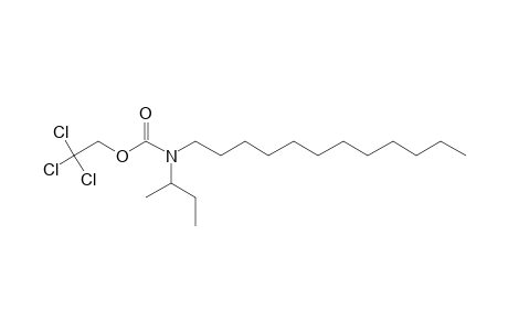 Carbamic acid, N-(2-butyl)-N-dodecyl-, 2,2,2-trichloroethyl ester