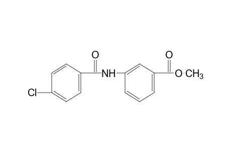 m-(p-chlorobenzamido)benzoic acid, methyl ester