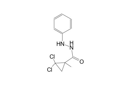 2,2-Dichloro-1-methyl-N'-phenylcyclopropanecarbohydrazide