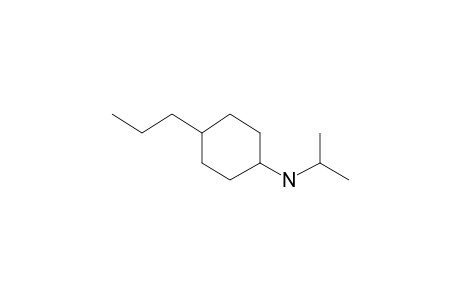 Cyclohexanamine, N-(1-methylethyl)-4-propyl-