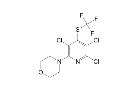 3,5,6-TRICHLORO-2-MORPHOLINO-4-TRIFLUOROMETHYLTHIOPYRIDINE