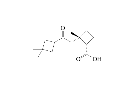 rel-(1S,2S)-2-[2-(3,3-dimethyl-cyclobutyl)-2-oxo-ethyl]-2-methylcyclobutanecarboxylic acid