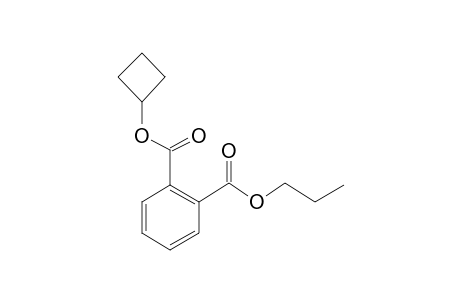 Phthalic acid, cyclobutyl propyl ester