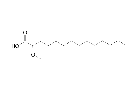 2-Methoxymyristic acid