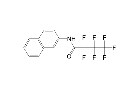2,2,3,3,4,4,4-heptafluoro-N-(2-naphthyl)butyramide
