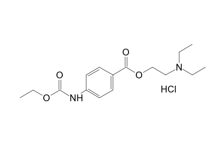 p-carboxycarbanilic acid, 2-di-ethylaminoethyl-N-ethylester, hydrochloride