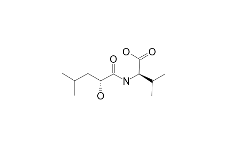 2-R-HYDROXY-4-METHYLVALERIC_ACID-R-VALINE