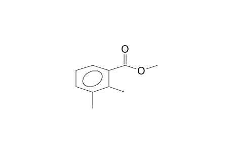 2,3-DIMETHYLBENZOIC_ACIDMETHYLESTER