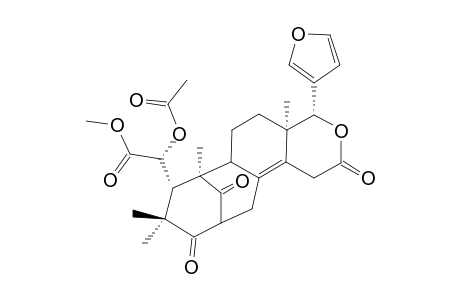 EKEBERIN_C_3