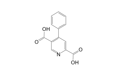 4-Phenyl-2,5-pyridinedicarboxylic acid