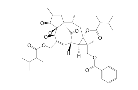 17-BENZOYLOXY-20-O-(2,3-DIMETHYLBUTANOYL)-13-(2,3-DIMETHYLBUTANOYLOXY)-INGENOL