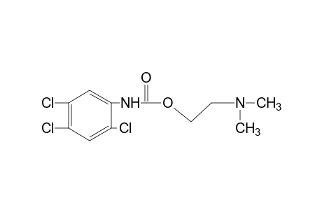 2,4,5-trichlorocarbanilic acid, 2-(dimethylamino)ethyl ester