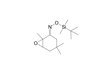 (E)- and (Z)-2,3-Epoxy-2,5,5-trimethylcyclohexan-1-one(tert-butyldimethylsilyl)oxime