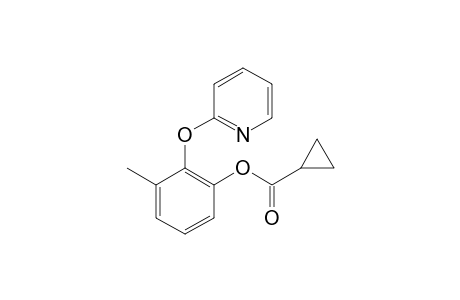 3-Methyl-2-(pyridin-2-yloxy)phenyl cyclopropanecarboxylate