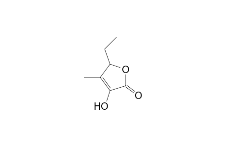 5-ethyl-3-hydroxy-4-methyl-5H-furan-2-one