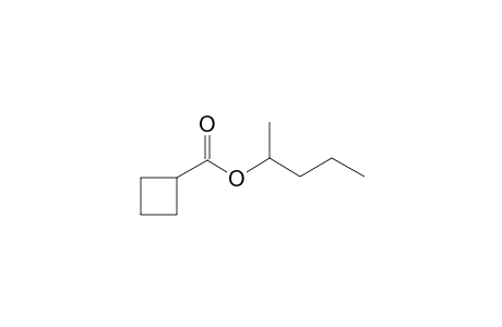 Cyclobutanecarboxylic acid, 2-pentyl ester