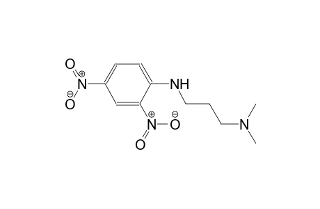 N,N-dimethyl-N'-(2,4-dinitrophenyl)-1,3-propanediamine