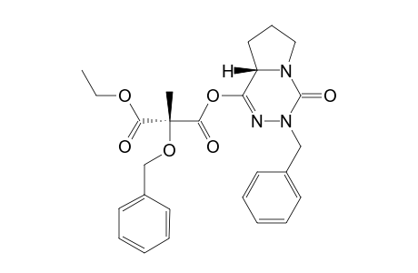 MAJOR-CONFORMER