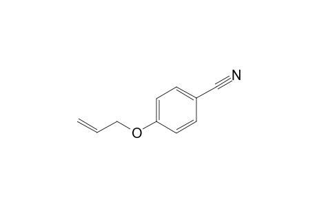 4-Allyloxybenzonitrile