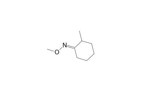 2-Methyl-cyclohexanone O-methyl-(E)-oxime