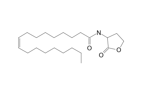 N-cis-Octadec-9Z-enoyl-L-homoserine lactone