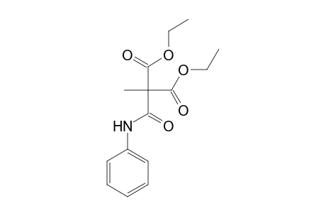 2-(n-phenyl-carbamoyl)-2methyl-malonic acid diethylester