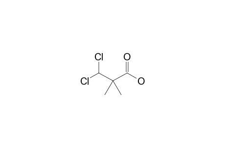 3,3-dichloro-2,2-dimethylpropionic acid