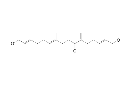 BOLETININ_C