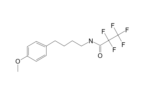 4-(4-Methoxyphenyl)butylamine, N-pentafluoropropionyl