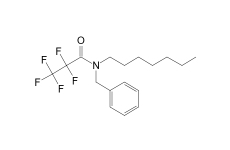 Pentafluoropropionamide, N-benzyl-N-heptyl-