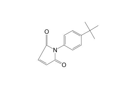 N-(p-tert-butylphenyl)maleimide