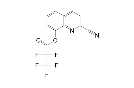 2-Carbonitrile-8-hydroxyquinoline, pentafluoropropionate