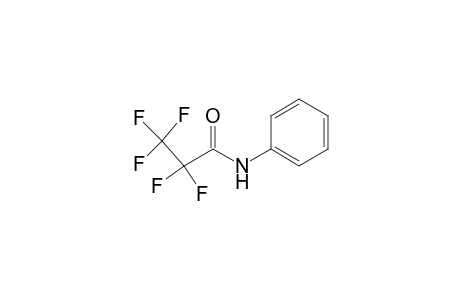 2,2,3,3,3-pentafluoro-N-phenylpropanamide