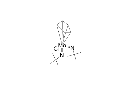 bis(t-butylimido)- chloro-[.eta.(5)-cyclopentadienyl] molybdenium (VI)